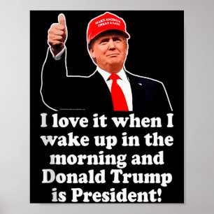 I Love It When Donald Trump Is President 2024 47th Poster