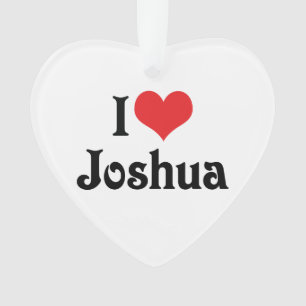 I Love Joshua Ornament
