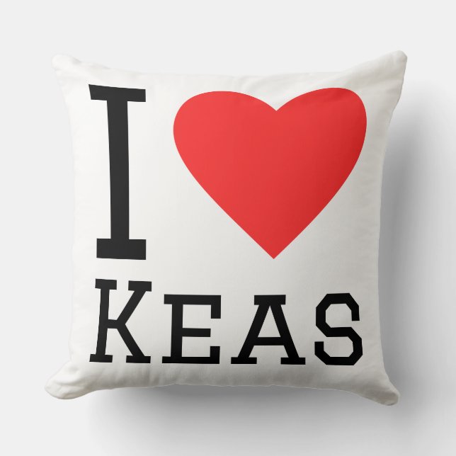 I love keas cushion (Front)