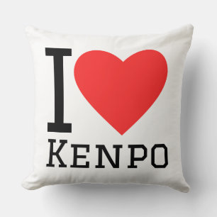 I love kenpo cushion