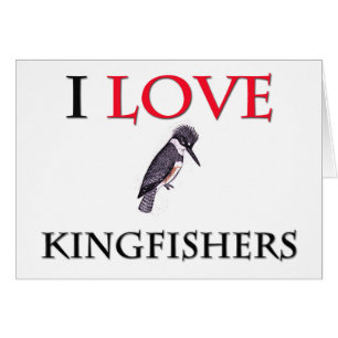 I Love Kingfishers