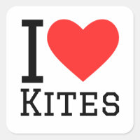 I love kites