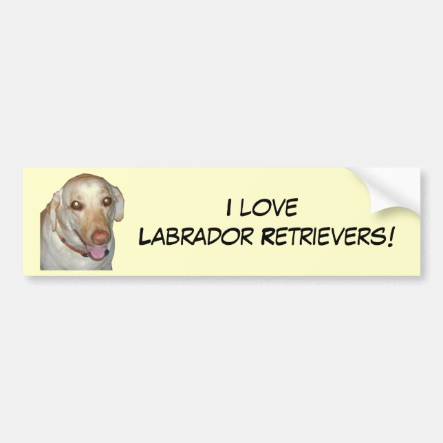 I love Labrador Retrievers! Bumper Sticker (Front)