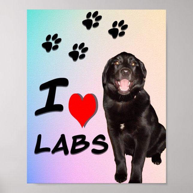 I Love Labs Print, Value Poster Paper (Matte) (Front)