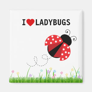 I Love Ladybugs Magnet