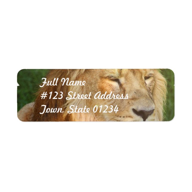 I Love Lions Mailing Labels (Front)