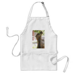 I Love Llamas Standard Apron