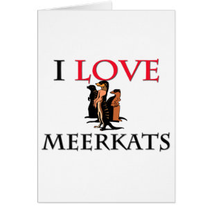 I Love Meerkats