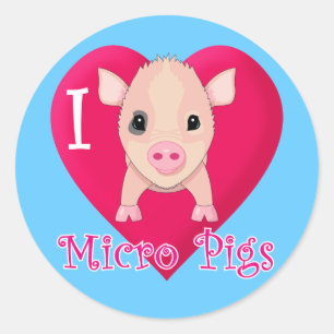 I Love Micro Pigs Classic Round Sticker