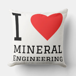 I love mineral engineering cushion