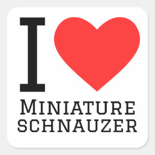 I love miniature schnauzer square sticker