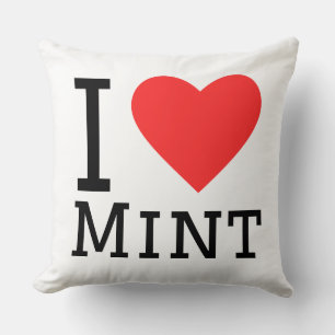 I love mint cushion