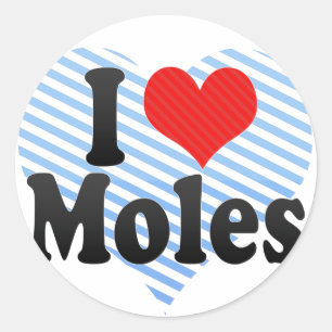 I Love Moles Classic Round Sticker
