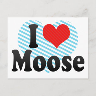I Love Moose Postcard