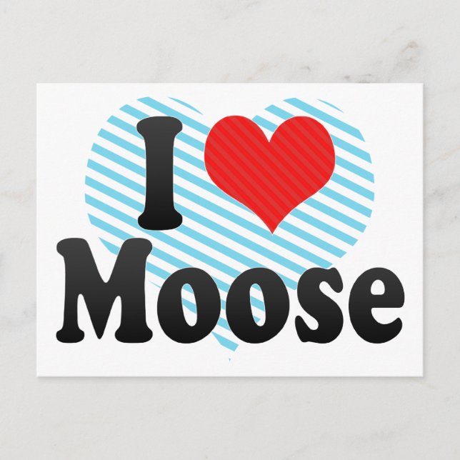 I Love Moose Postcard (Front)