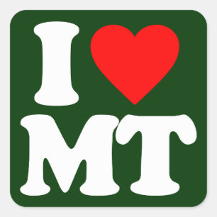 I LOVE MT SQUARE STICKER