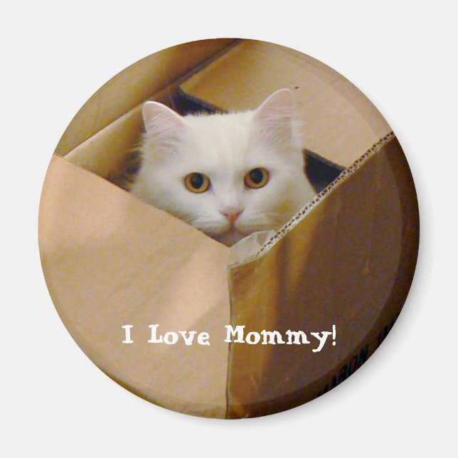 I Love Mummy! Magnet (Front)