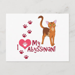 I Love My Abyssinian! Postcard