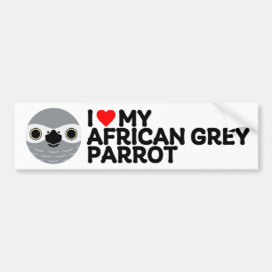 I LOVE MY AFRICAN GREY PARROT BUMPER STICKER