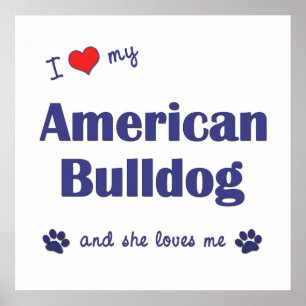 I Love My American Bulldog (Female Dog) Poster