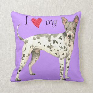 I Love my American Hairless Terrier Cushion