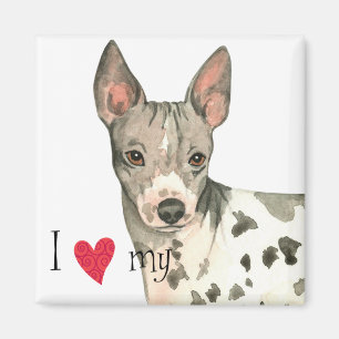 I Love my American Hairless Terrier Magnet