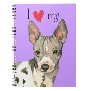 I Love my American Hairless Terrier Notebook
