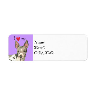 I Love my American Hairless Terrier Return Address Label