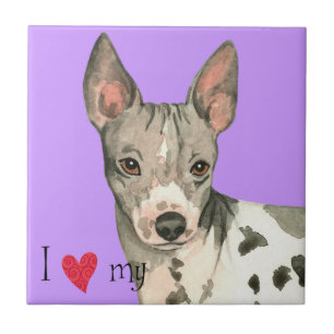 I Love my American Hairless Terrier Tile