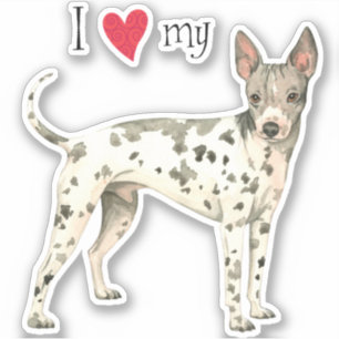 I Love my American Hairless Terrier Vinyl Sticker