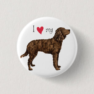 I Love my American Water Spaniel 3 Cm Round Badge