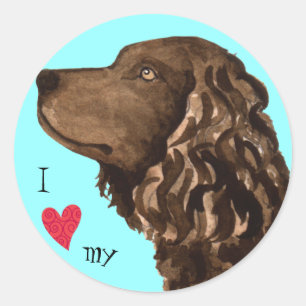I Love my American Water Spaniel Classic Round Sticker