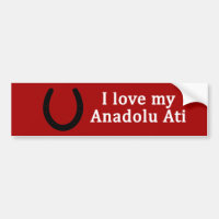 I Love My Anadolu Ati Horse