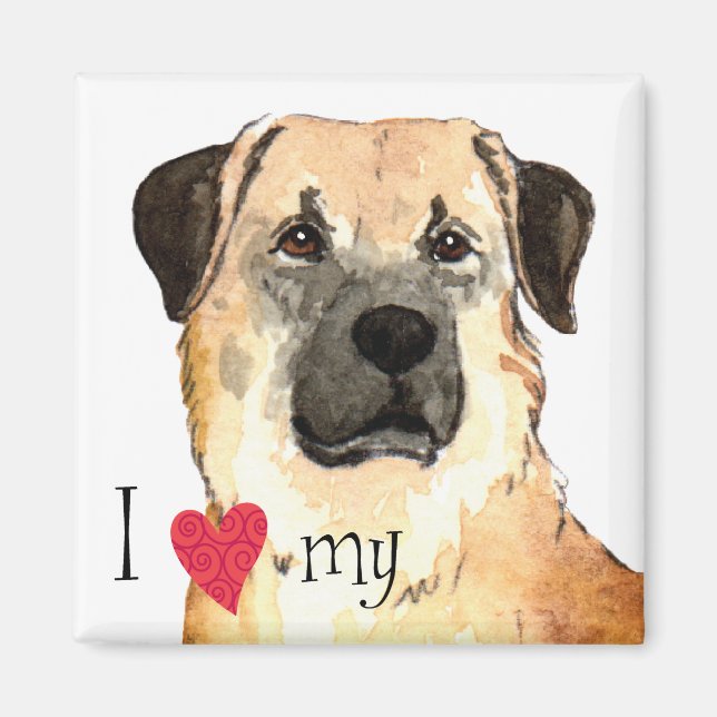I Love my Anatolian Shepherd Magnet (Front)