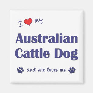 I Love My Australian Cattle Dog (Female Dog) Magnet