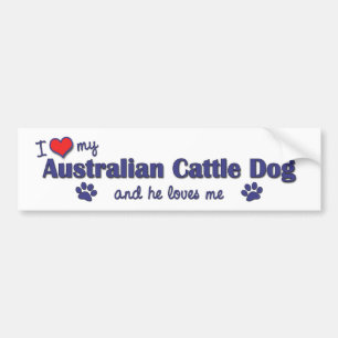 I Love My Australian Cattle Dog (Male Dog) Bumper Sticker