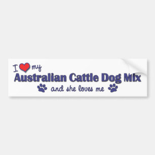 I Love My Australian Cattle Dog Mix (Female Dog) Bumper Sticker