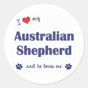 I Love My Australian Shepherd (Male Dog) Classic Round Sticker
