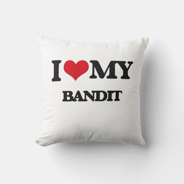 I love my Bandit Cushion (Front)