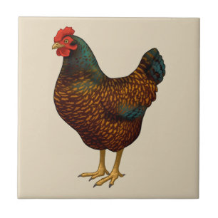I Love My Barnevelder Chickens Ceramic Tile