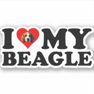 I Love My Beagle