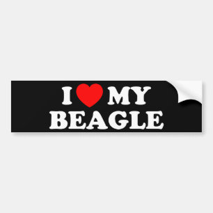 I Love my Beagle Bumper Sticker
