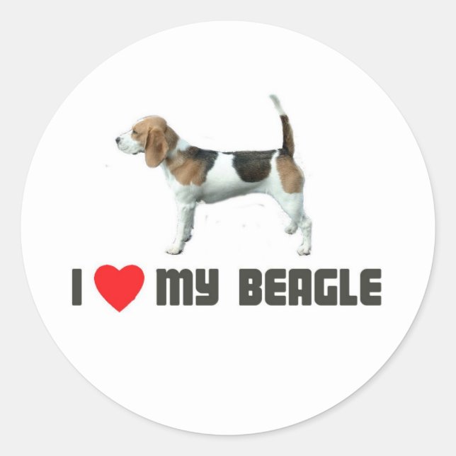 I Love My Beagle Classic Round Sticker (Front)
