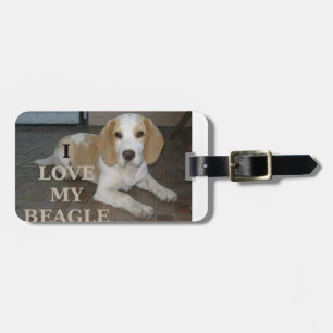 i love my beagle w pic luggage tag