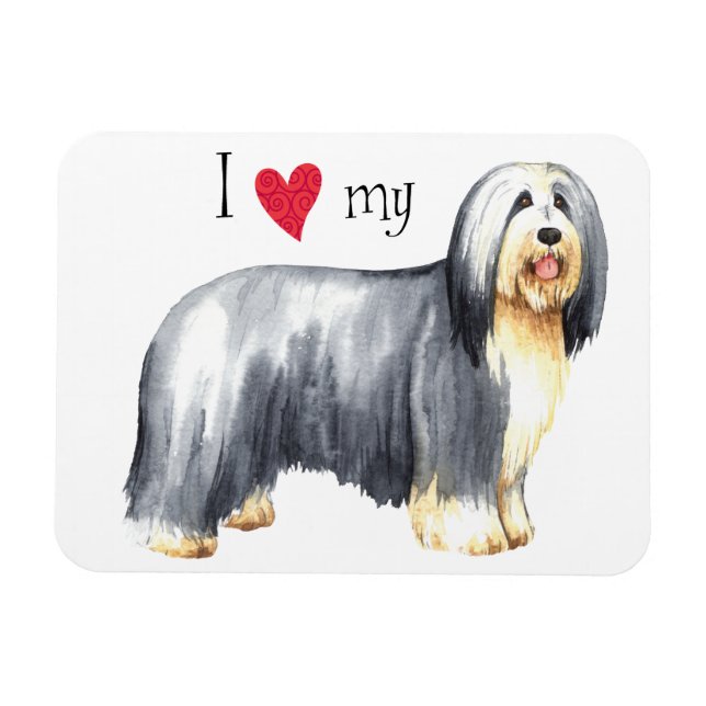 I Love my Bearded Collie Magnet (Horizontal)