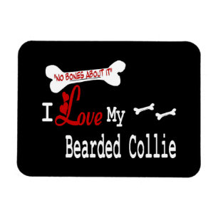 I Love My Bearded Collie Magnet