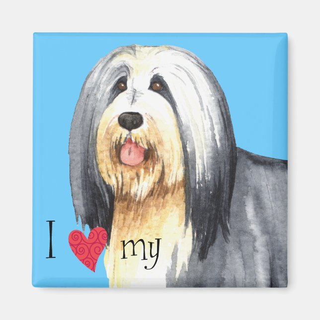 I Love my Bearded Collie Magnet (Front)