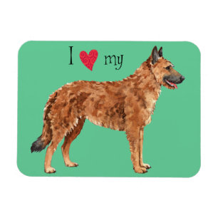 I Love my Belgian Laekenois Magnet