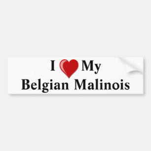 I Love My Belgian Malinois Dog Bumper Sticker