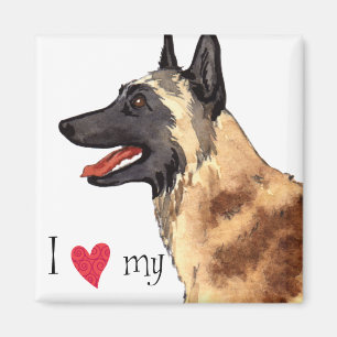 I Love my Belgian Malinois Magnet